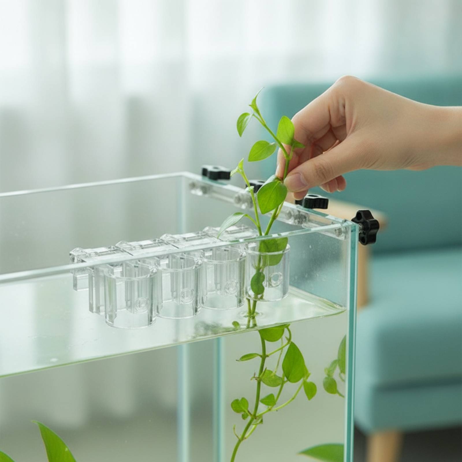 Aquarium Plants - 6 قطع مشبك دعم شفاف للزراعة