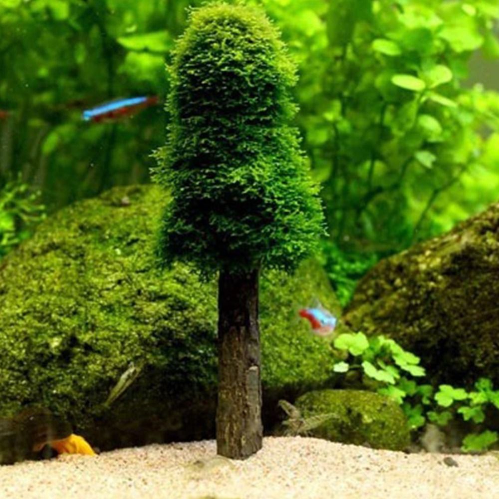 Planted Aquarium Moss - شجرة عيد الميلاد الاصطناعية، حامل نباتات
