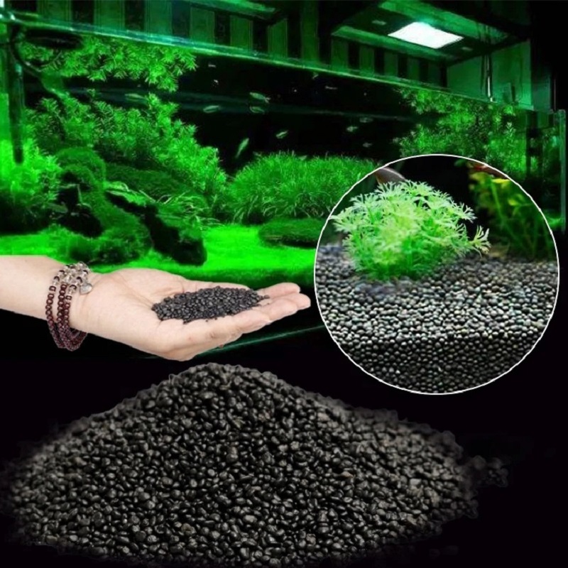 Aquarium Planted Seeds - خزان الأسماك المياه العشب الطين بذور