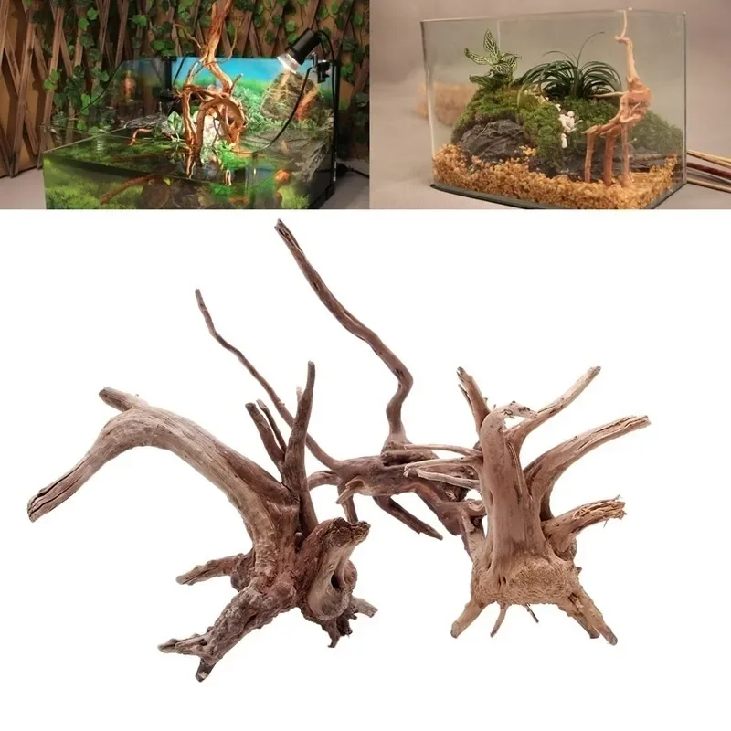 Planted Aquarium Media - شجرة طبيعية جذع Driftwood لحوض السمك