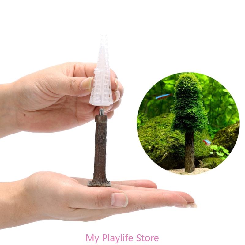 Planted Aquarium Moss - زينة طحلب حوض أسماك ، حامل