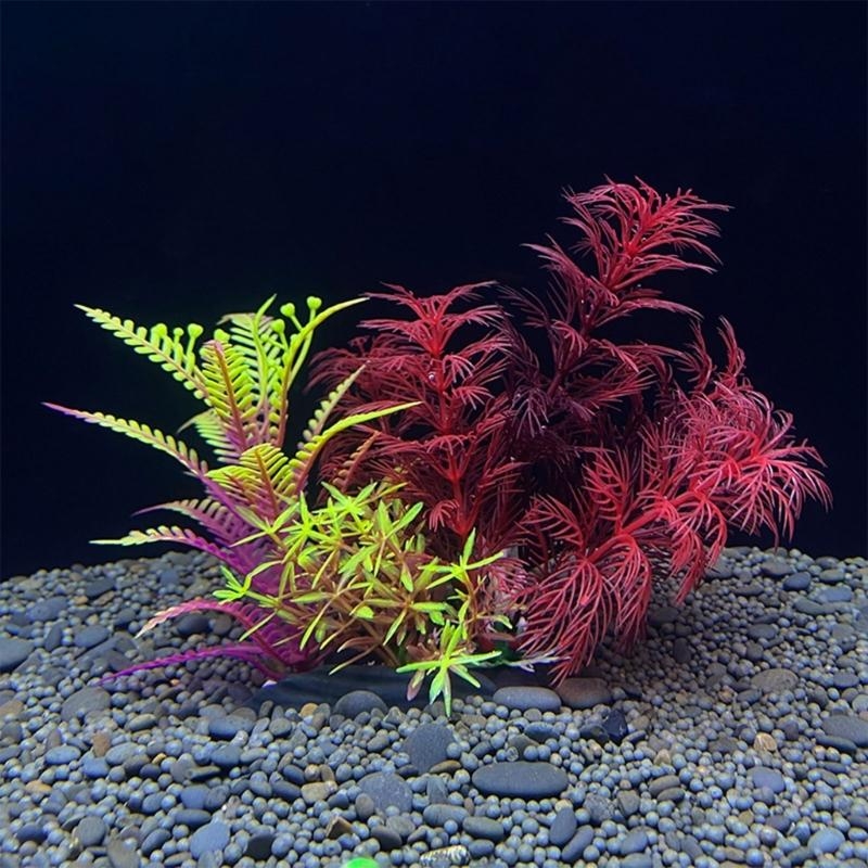 Aquarium Plants For Sale - حوض السمك الاصطناعي الديكور نبات الأسماك