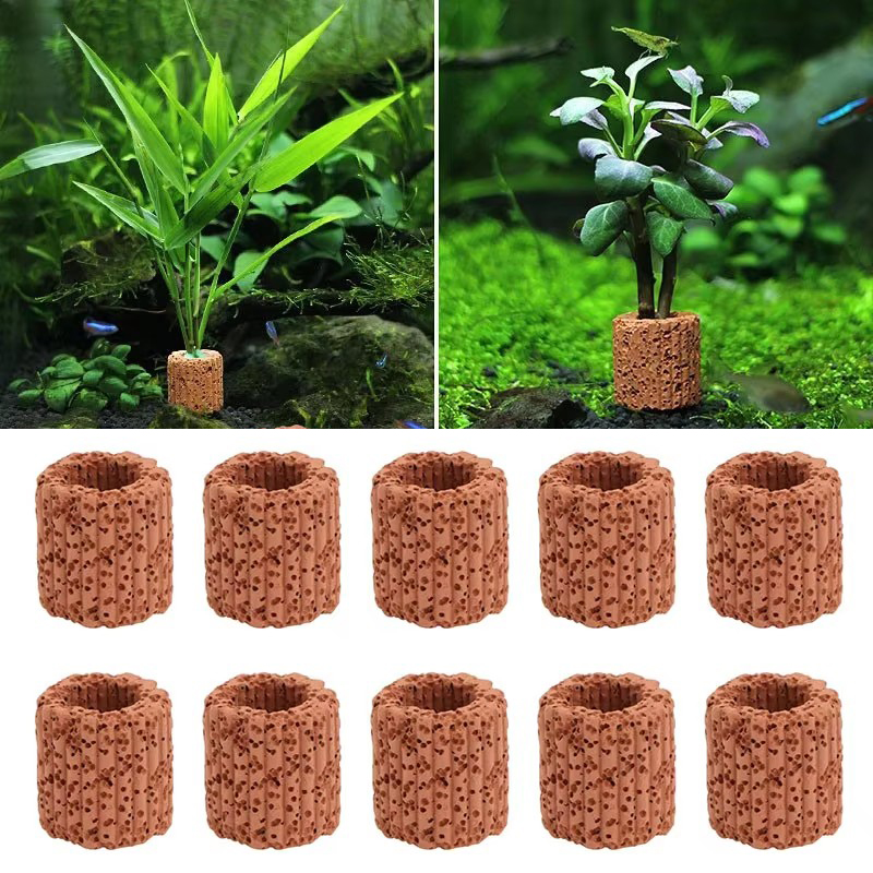 Aquarium Planted Seeds - حلقة ثابتة للنباتات المائية لحوض السمك