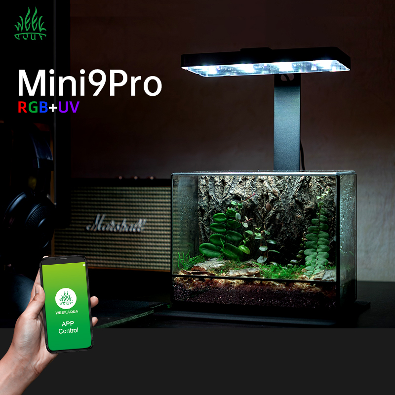 Aquarium Plants For Sale - مصباح نانو تيراريوم ميني 9 برو