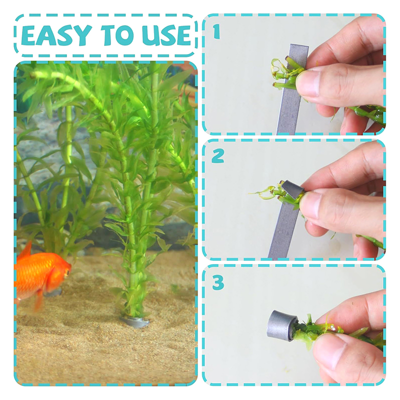 Aquarium Plants For Sale - عرض جديد: 10 قطع من أوزان