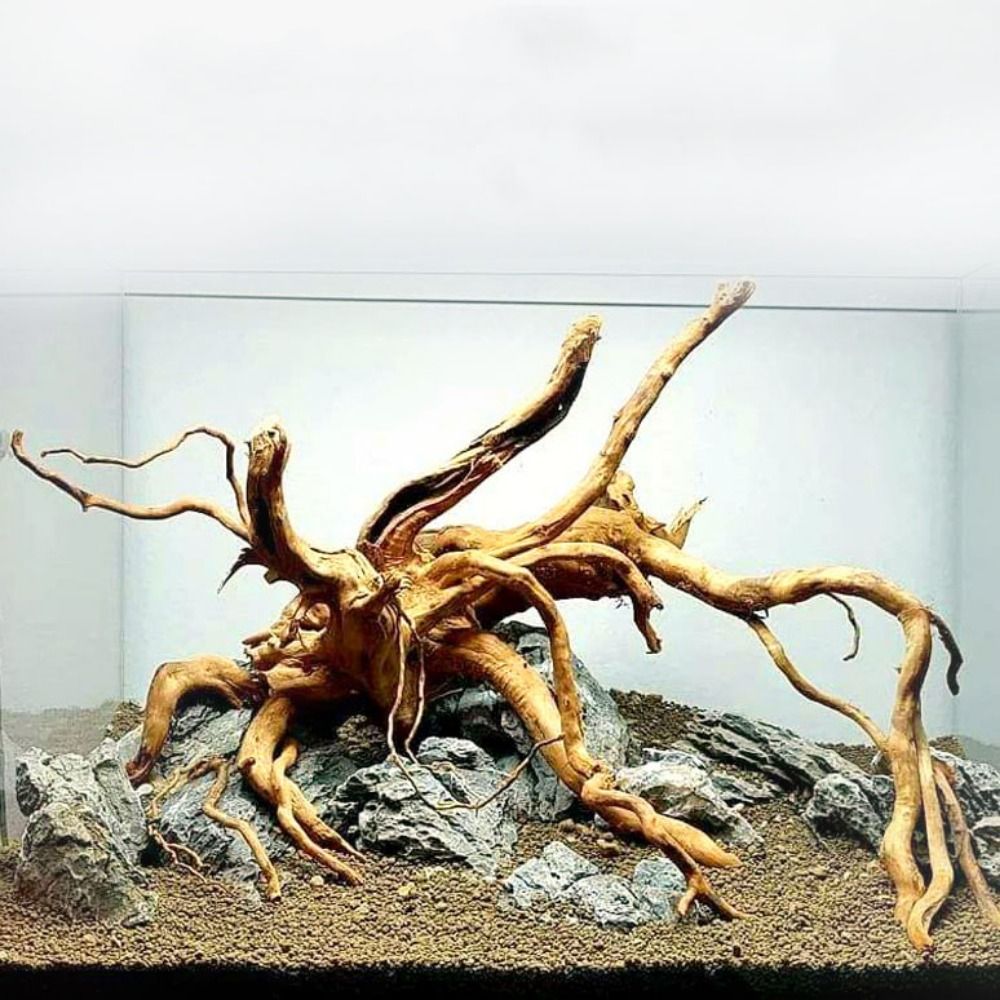Planted Aquarium Media - شجرة طبيعية جذع حوض السمك الديكور