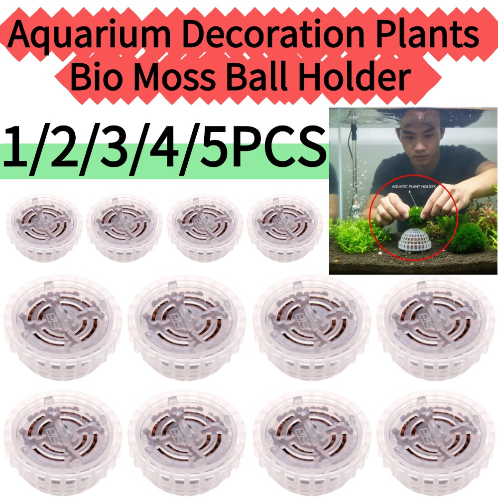Planted Aquarium Moss - 1/2/3/4/5 قطع نباتات زينة للأحواض المائية،