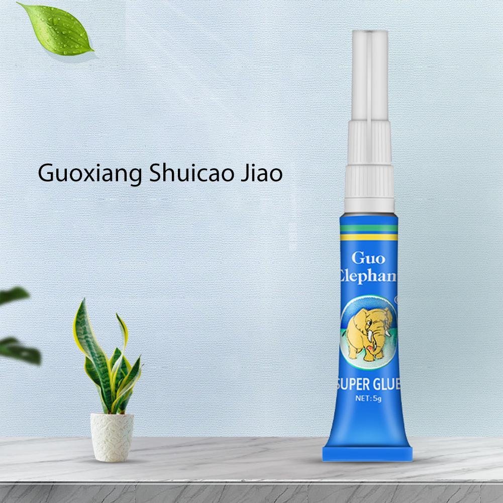 Aquarium Plant Glue Gel - غراء تثبيت الطحالب والنباتات المائية للزينة