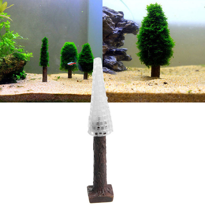 Planted Aquarium Moss - حوض السمك خزان المناظر الطبيعية ديكور