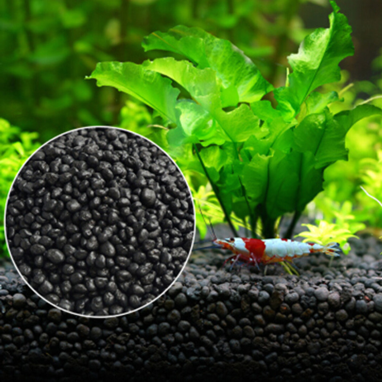 Aquarium Planted Fish Tank - نباتات أحواض السمك ، التربة ،