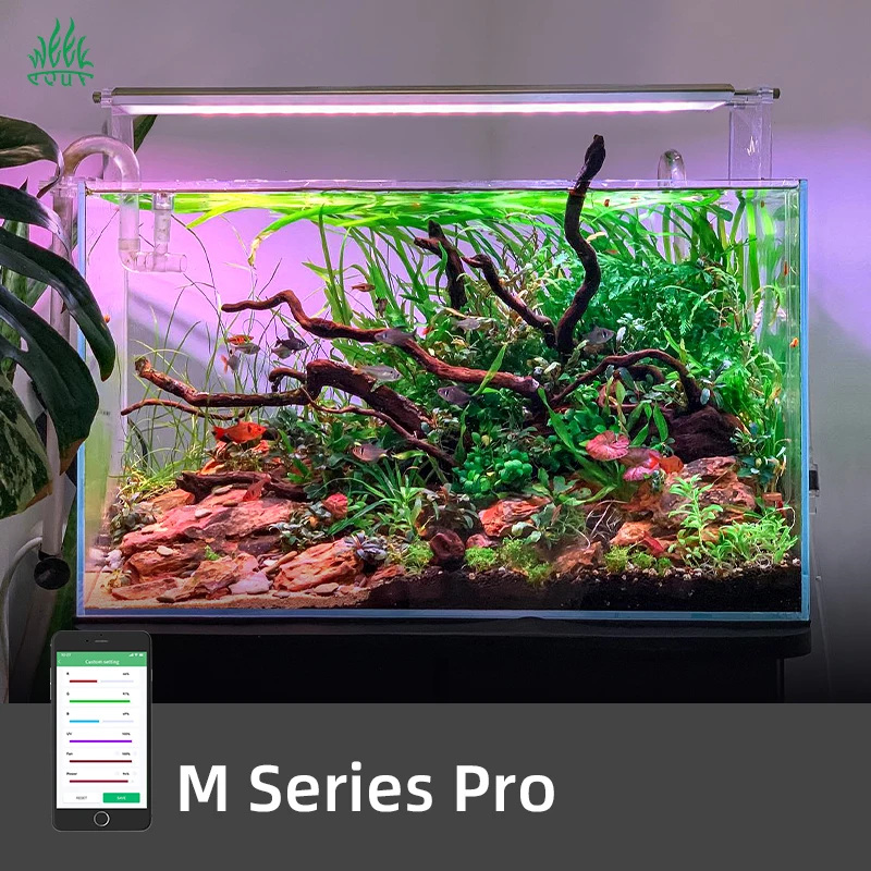 Aquarium Plants For Sale - مصباح حوض السمك الذكي ZXY WEEK