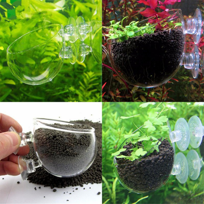 Aquarium Planted Seeds - حوض سمك معلق النبات وعاء زجاجي