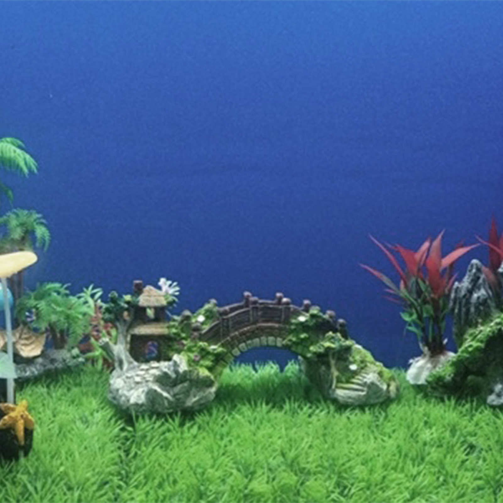 خزان الأسماك جسر اصطناعي الرات - مراجعة Aquarium Planted Seeds وسعره