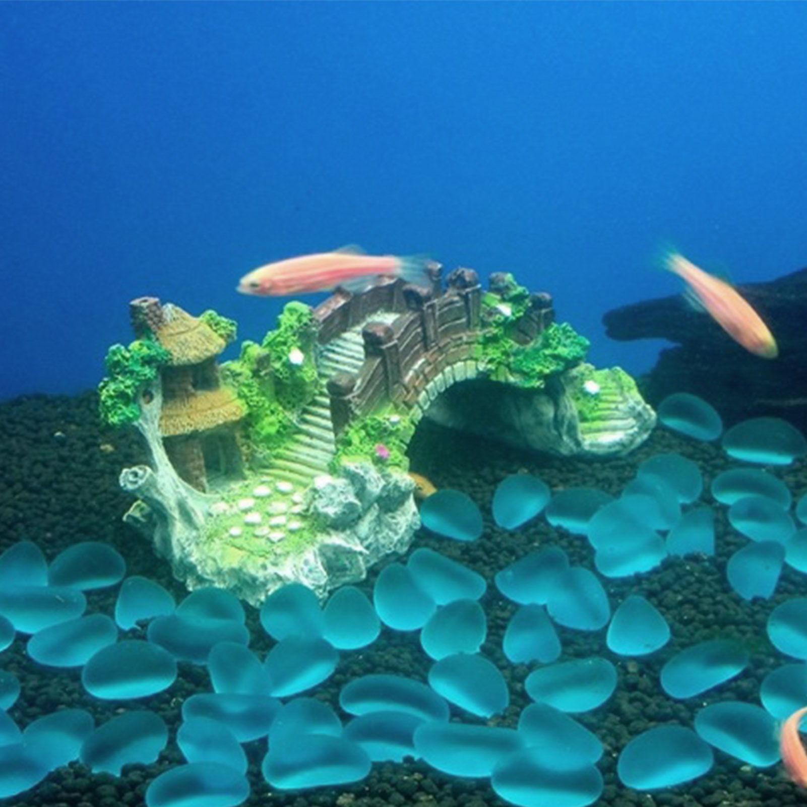 خزان الأسماك جسر اصطناعي الرات - مراجعة Aquarium Planted Seeds وسعره