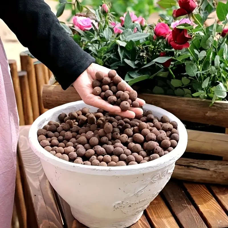 حبيبات تيراكوتا خفيفة الوزن وج - مراجعة Aquarium Plants وسعره