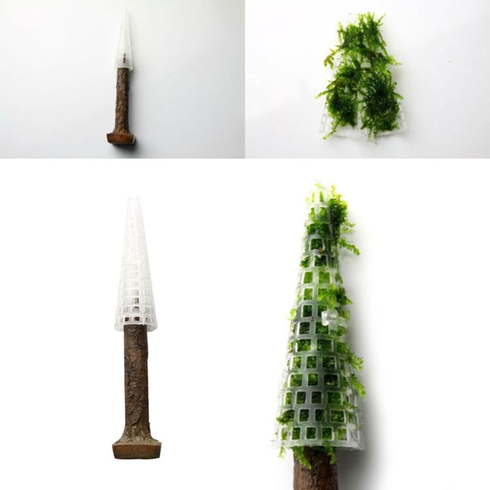 شجرة عيد الميلاد الاصطناعية، ح - مراجعة Planted Aquarium Moss وسعره