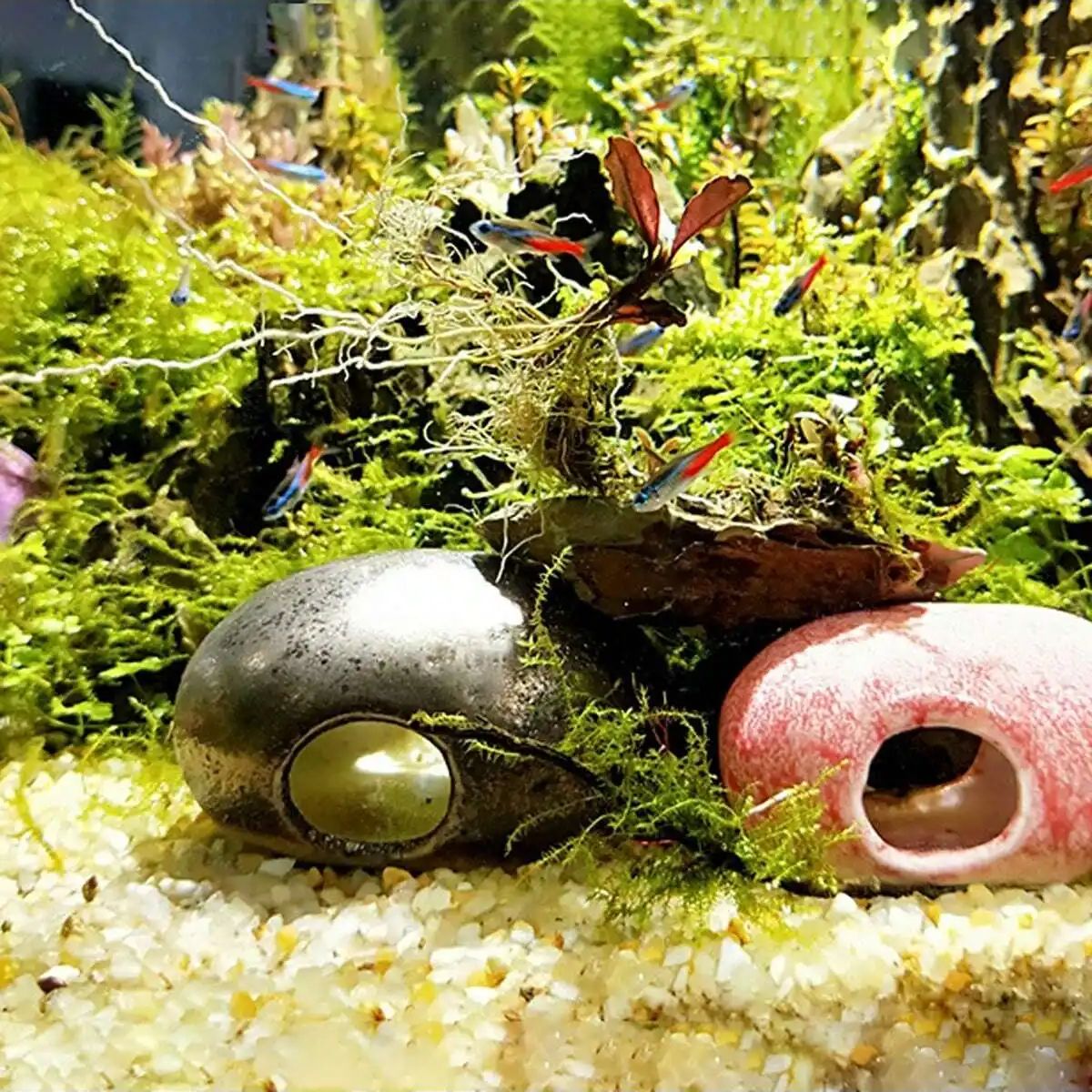 1 قطعة-250 جرام بلورات الطبيعي - مراجعة Aquarium Planted Sand وسعره