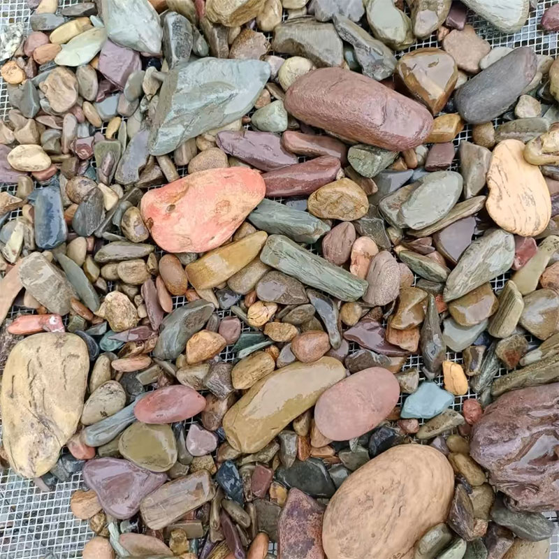 500 جرام خزان الأسماك أسفل حجر - مراجعة Aquarium Planted Sand وسعره