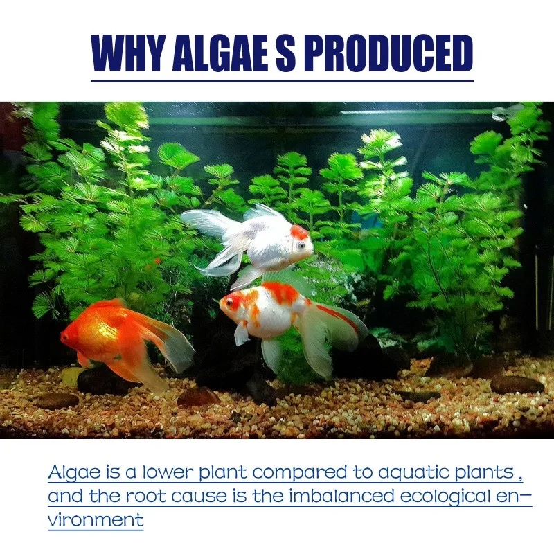 50 جرام من مبيد الطحالب عالي ا - مراجعة Planted Aquarium Moss وسعره