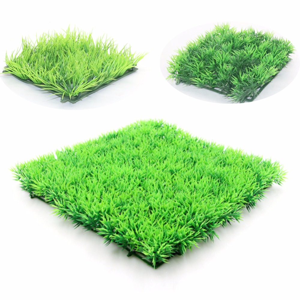نبات العشب الأخضر الاصطناعي ال - مراجعة Aquarium Planted Seeds وسعره
