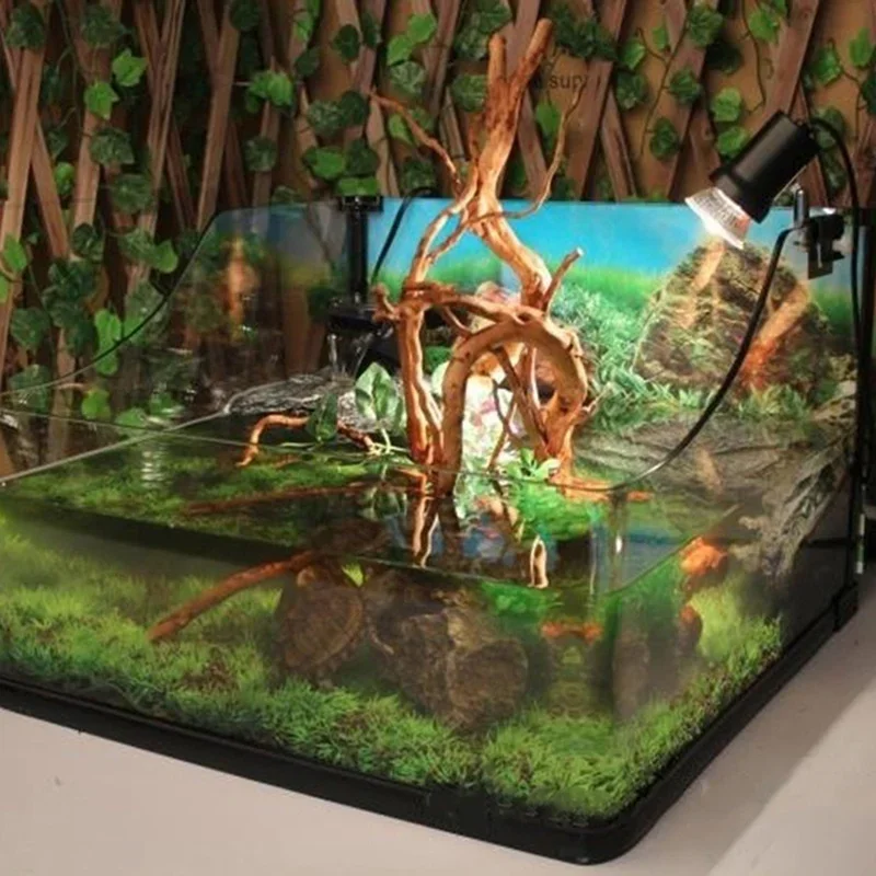 شجرة طبيعية جذع Driftwood لحوض - مراجعة Planted Aquarium Media وسعره