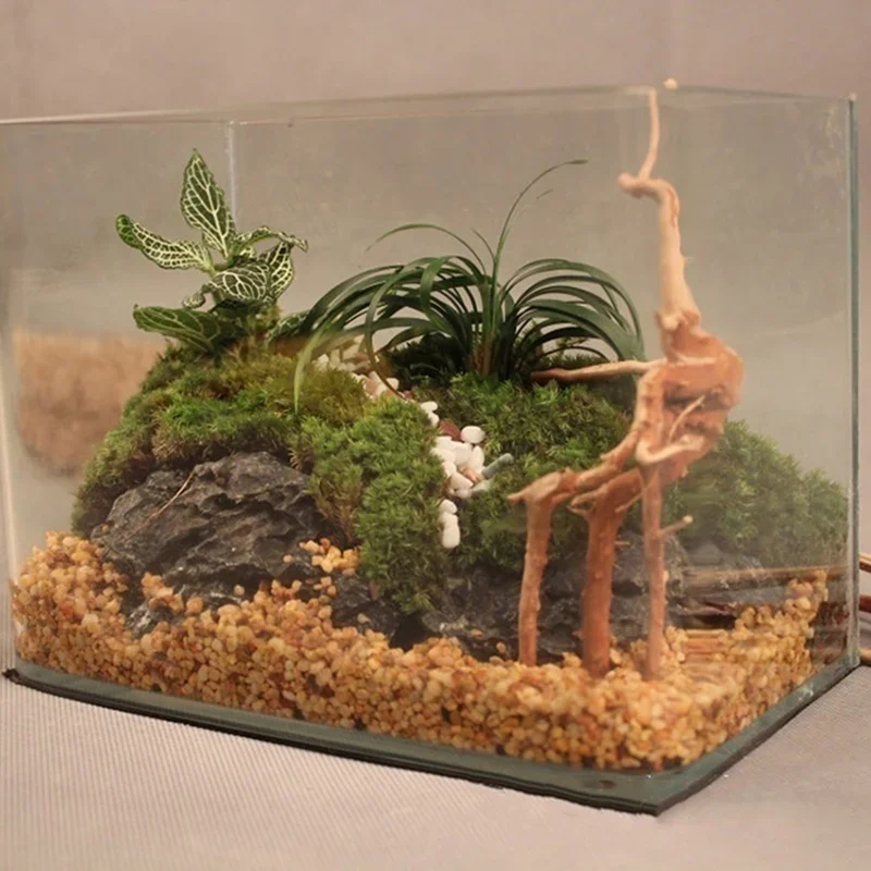 شجرة طبيعية جذع Driftwood لحوض - مراجعة Planted Aquarium Media وسعره
