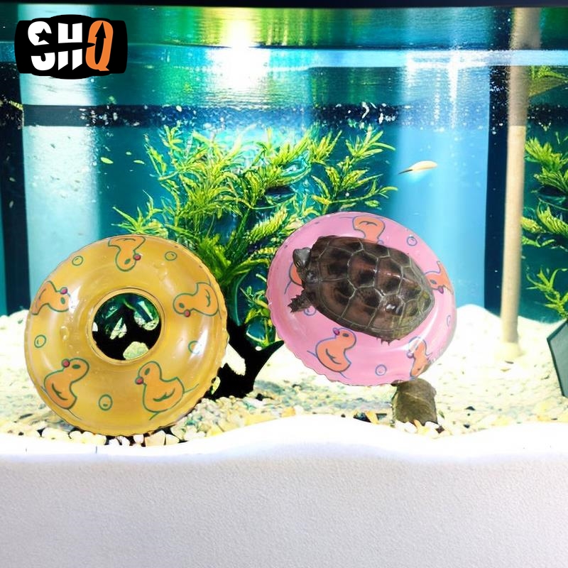 الصيف السلاحف المياه اللعب الك - مراجعة Aquarium Planted Seeds وسعره