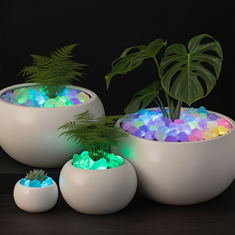 مجموعة 300 قطعة من الحصى المضي - مراجعة Aquarium Plants وسعره