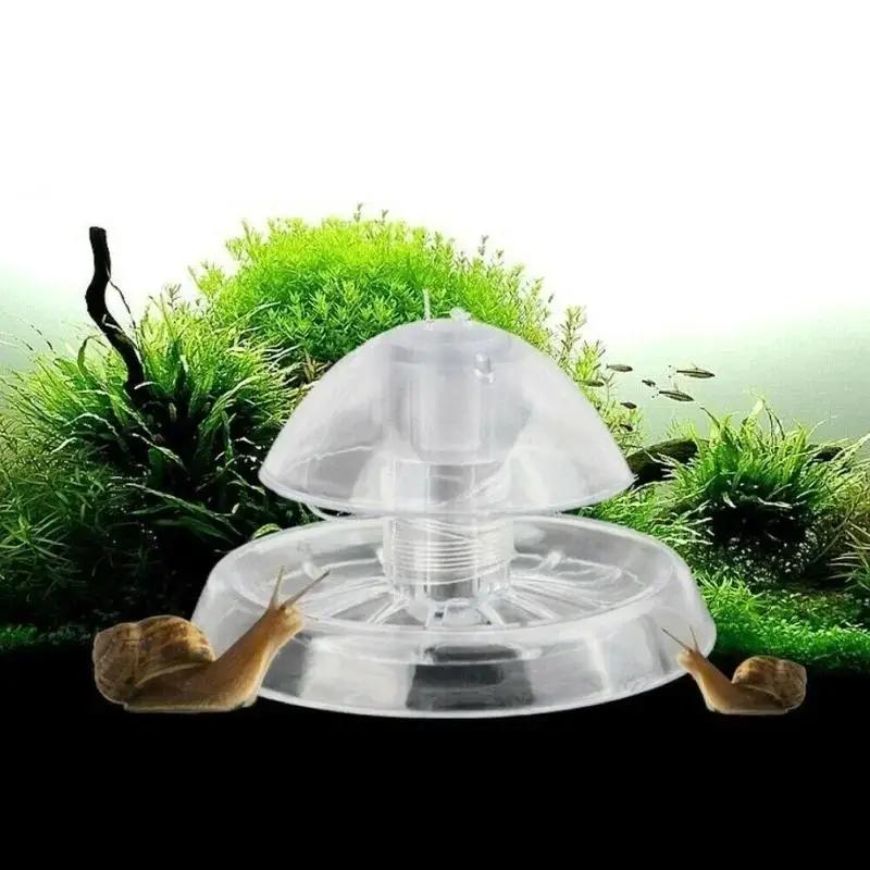 2026 جديد 6/8 سم صندوق مصيدة ح - مراجعة Aquarium Planted Fish Tank وسعره