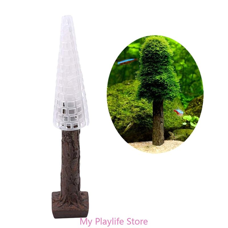 زينة طحلب حوض أسماك ، حامل نبا - مراجعة Planted Aquarium Moss وسعره