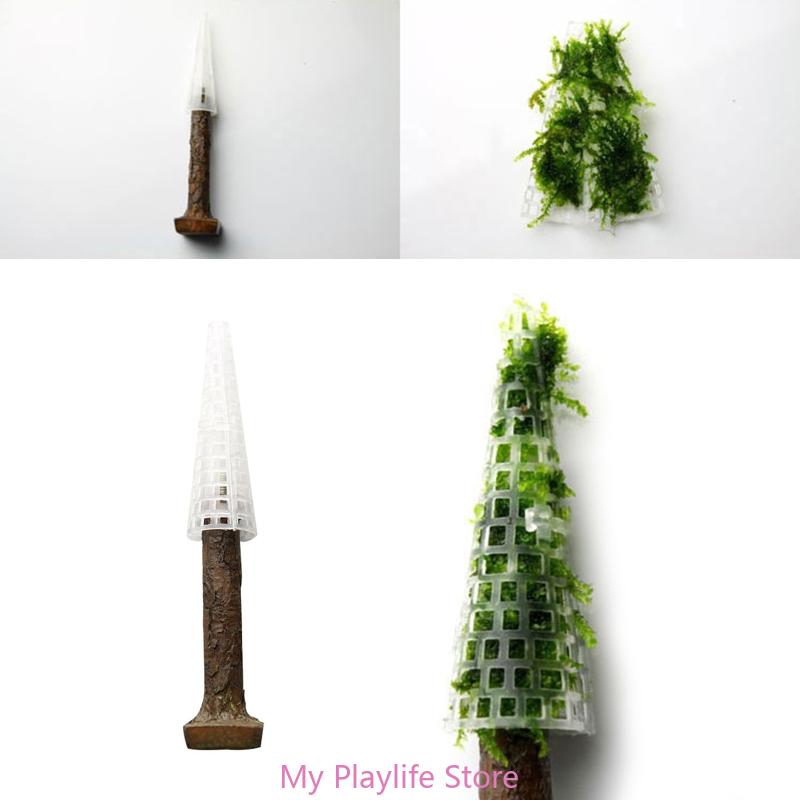 زينة طحلب حوض أسماك ، حامل نبا - مراجعة Planted Aquarium Moss وسعره