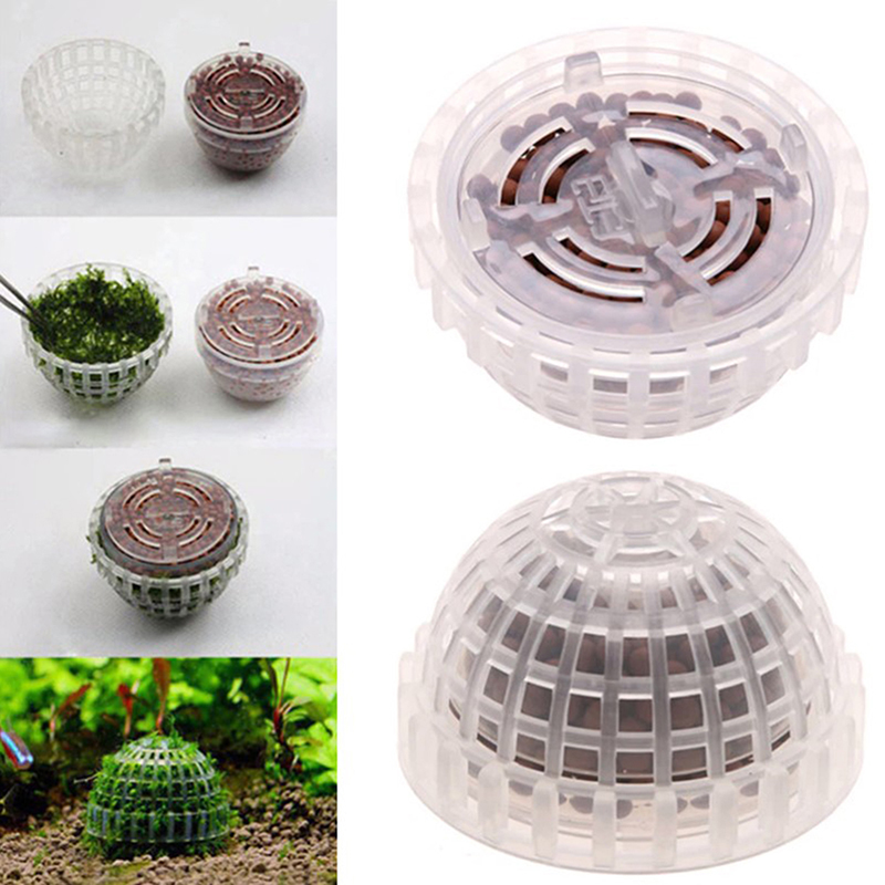 عرض ساخن: مستلزمات الحيوانات ا - مراجعة Aquarium Plants For Sale وسعره