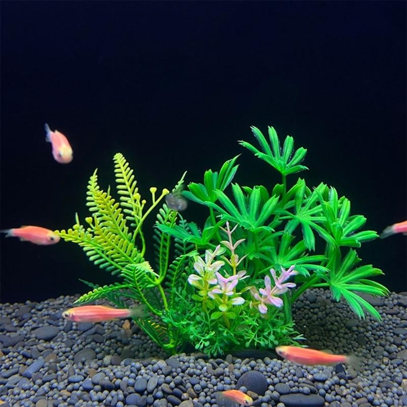 حوض السمك الاصطناعي الديكور نب - مراجعة Aquarium Plants For Sale وسعره