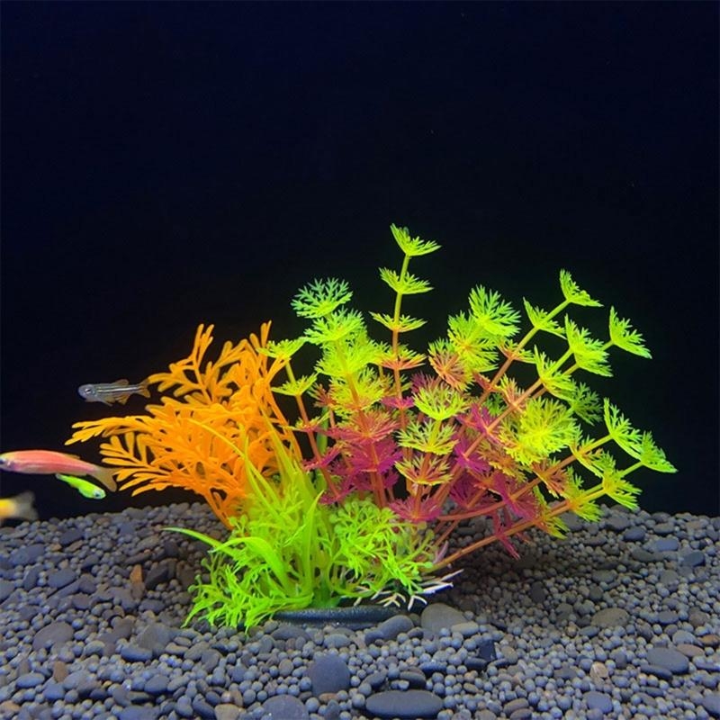 حوض السمك الاصطناعي الديكور نب - مراجعة Aquarium Plants For Sale وسعره