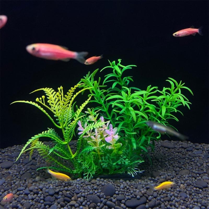 حوض السمك الاصطناعي الديكور نب - مراجعة Aquarium Plants For Sale وسعره