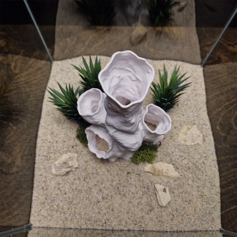 عرض ساخن: نفق مرجاني ثلاثي الأ - مراجعة Aquarium Plants For Sale وسعره