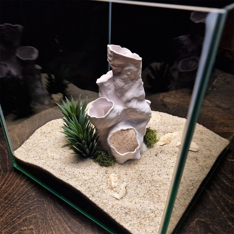 عرض ساخن: نفق مرجاني ثلاثي الأ - مراجعة Aquarium Plants For Sale وسعره
