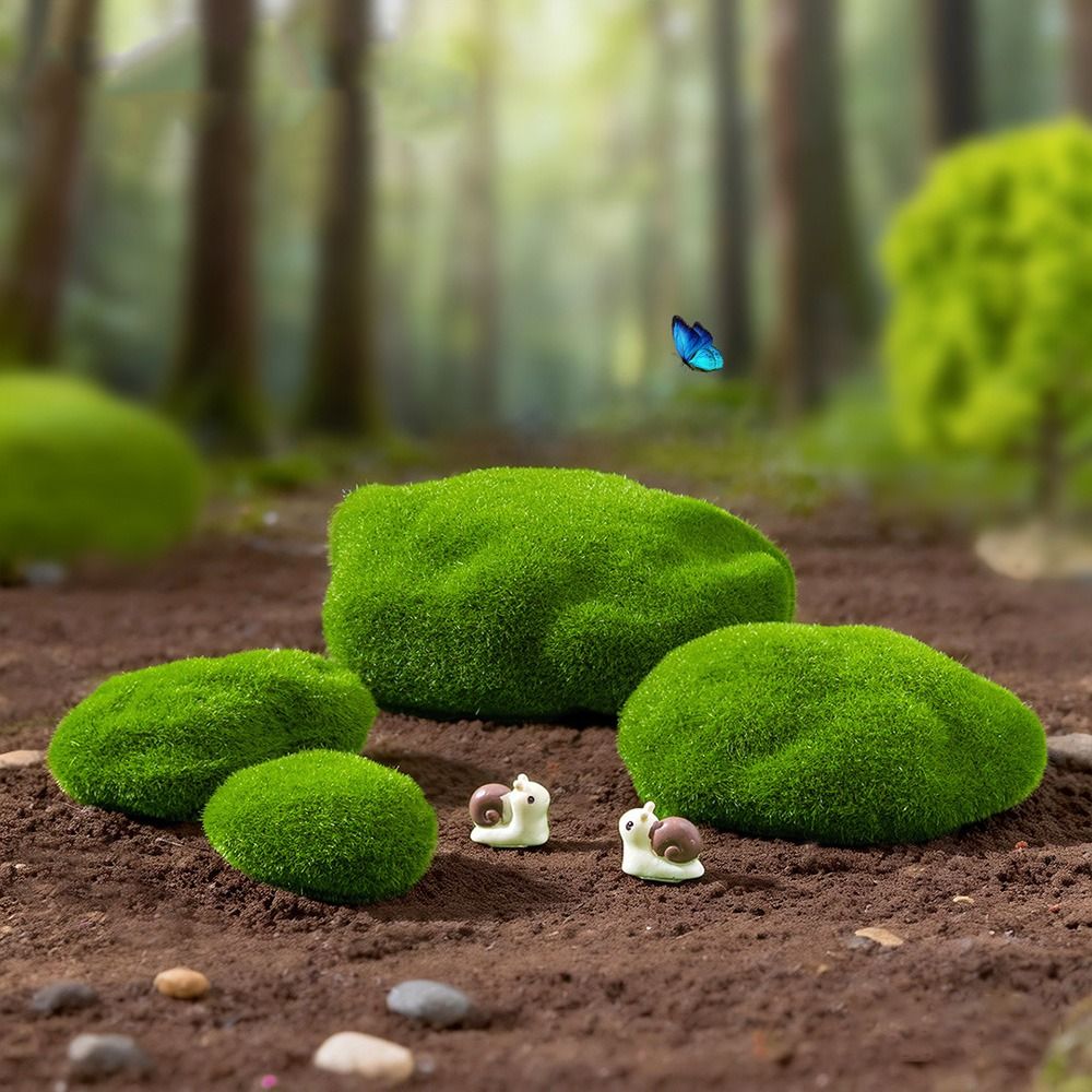 2/4/6/10 قطع من أحجار الطحالب  - مراجعة Planted Aquarium Moss وسعره