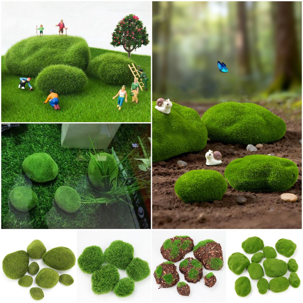 2/4/6/10 قطع من أحجار الطحالب  - مراجعة Planted Aquarium Moss وسعره