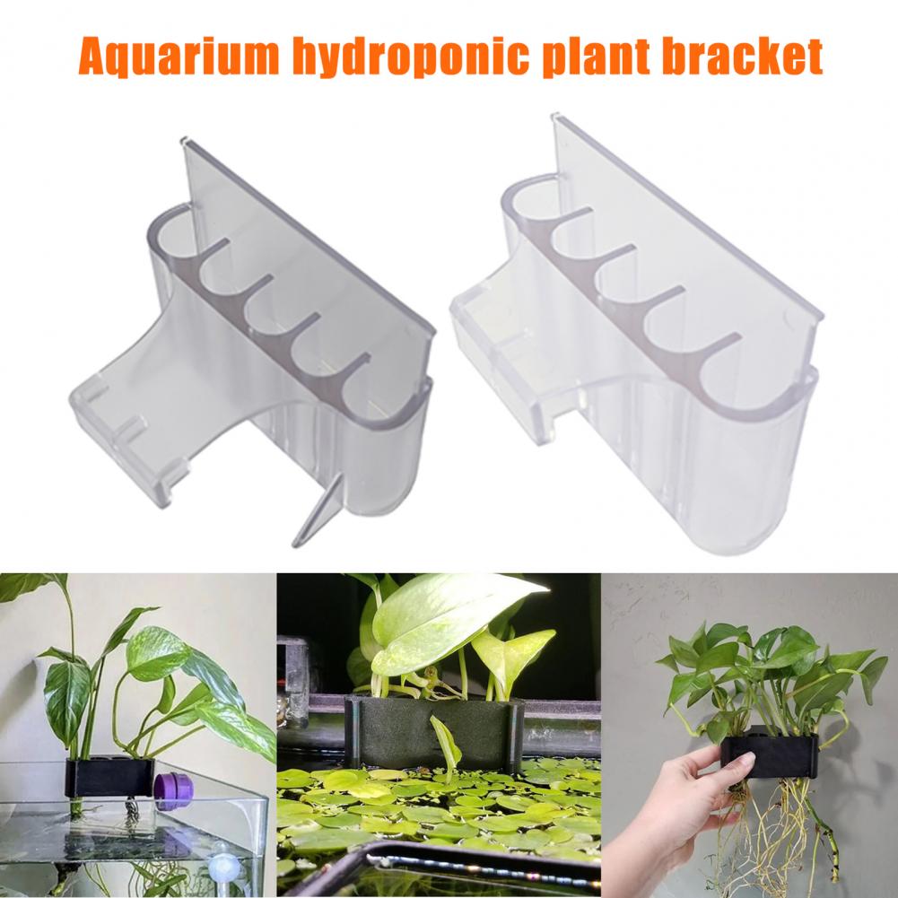 4.5/6.5 سنتيمتر حامل نبات حوض  - مراجعة Aquarium Planted Fish Tank وسعره