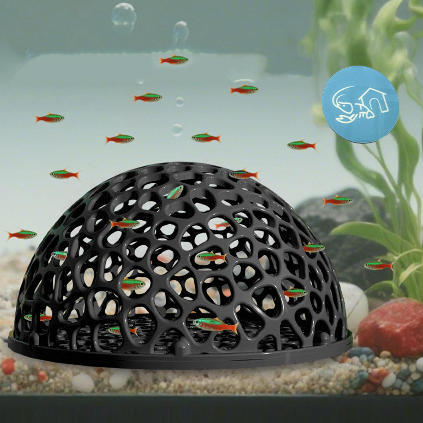 مأوى كهف مخفي لحوض السمك لتربي - مراجعة Aquarium Planted Seeds وسعره