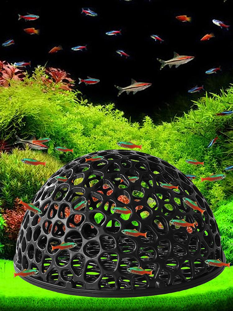 مأوى كهف مخفي لحوض السمك لتربي - مراجعة Aquarium Planted Seeds وسعره