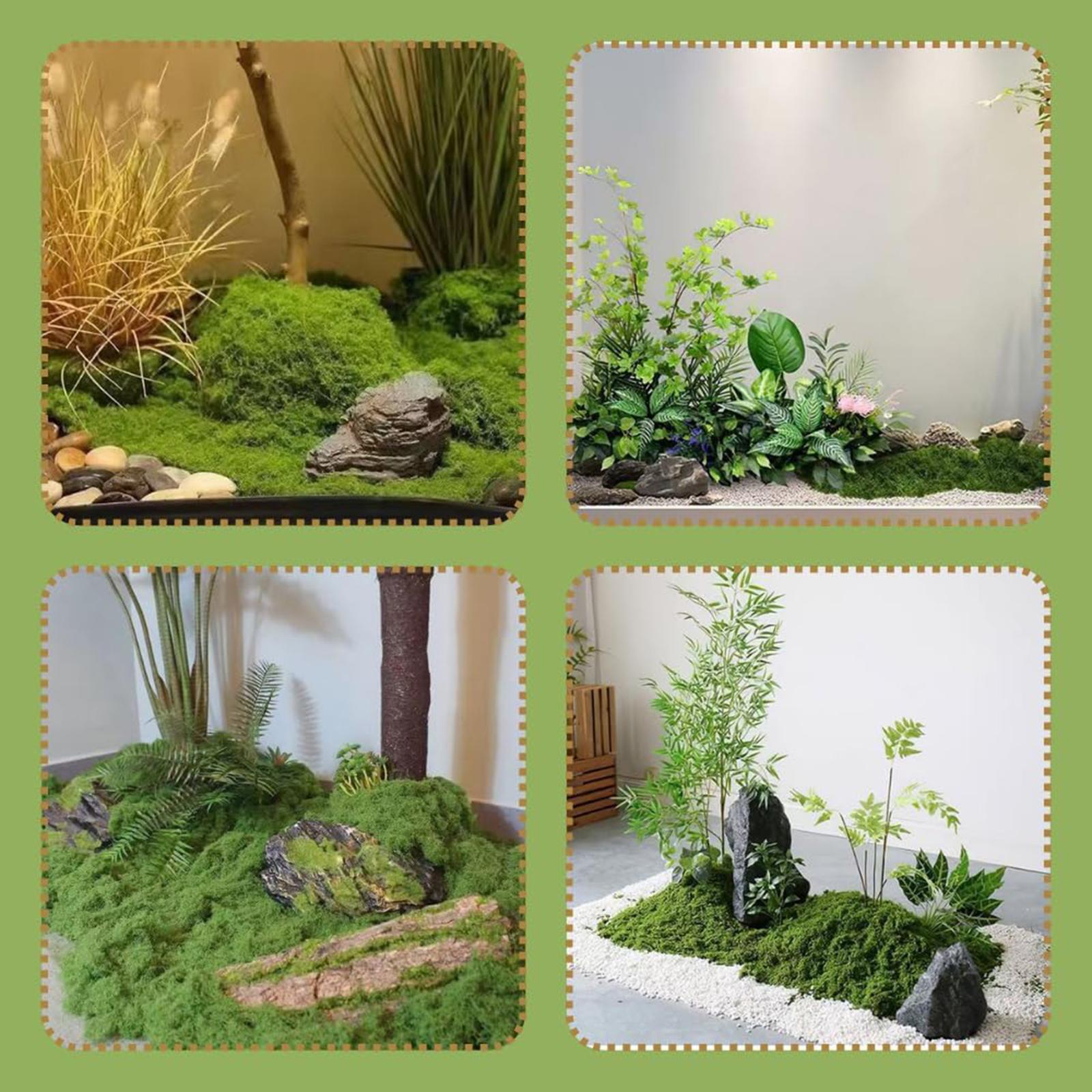 نباتات خضراء اصطناعية، أصص خار - مراجعة Planted Aquarium Moss وسعره