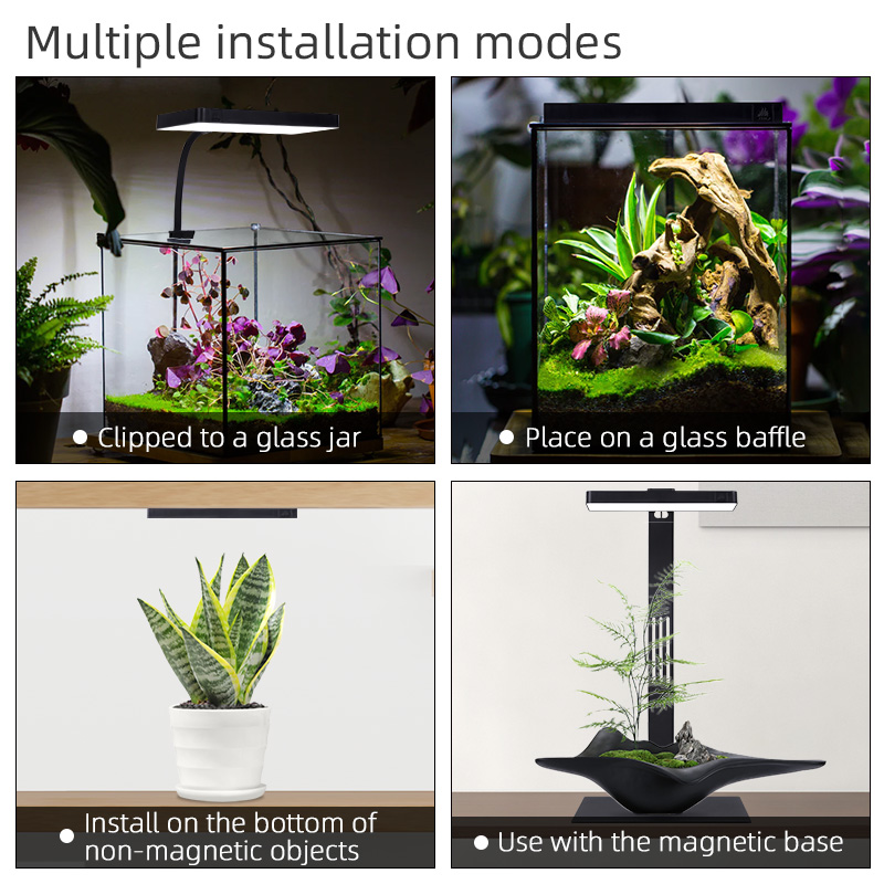 مصباح نانو تيراريوم ميني 9 برو - مراجعة Aquarium Plants For Sale وسعره