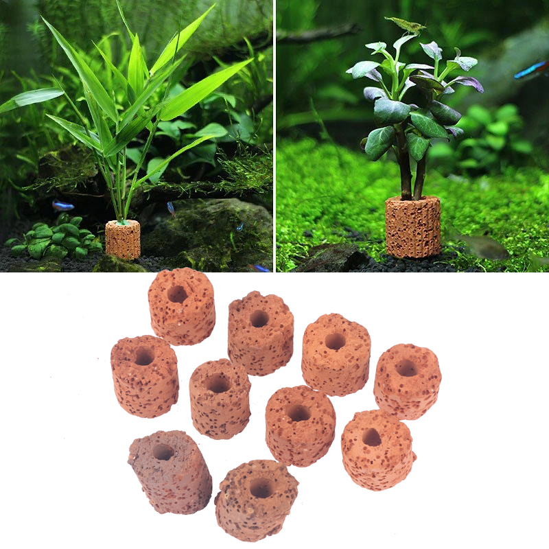حلقات سقي ثابتة لحوض السمك ، أ - مراجعة Aquarium Planted Seeds وسعره