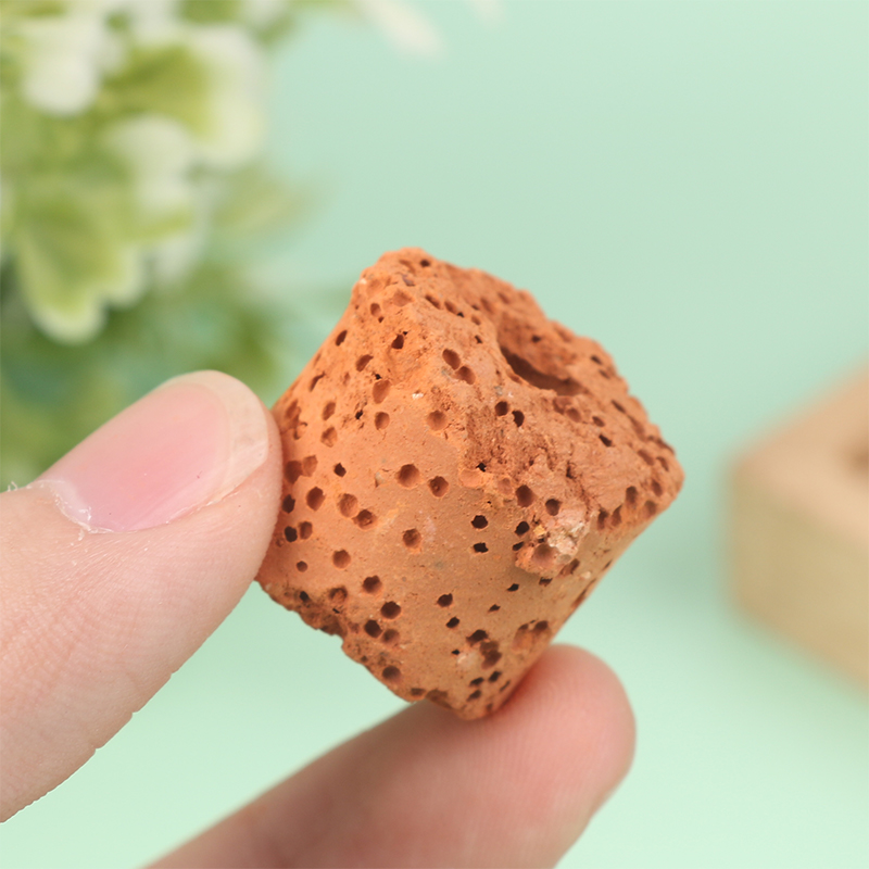 حلقات سقي ثابتة لحوض السمك ، أ - مراجعة Aquarium Planted Seeds وسعره