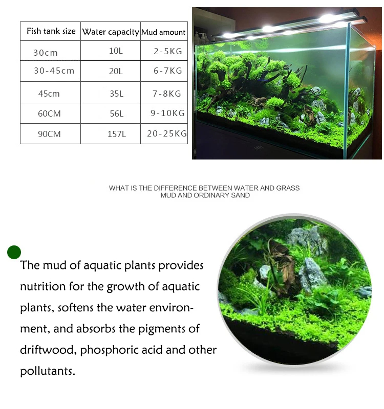 التربة لخزان الأسماك والعشب ال - مراجعة Aquarium Planted Seeds وسعره