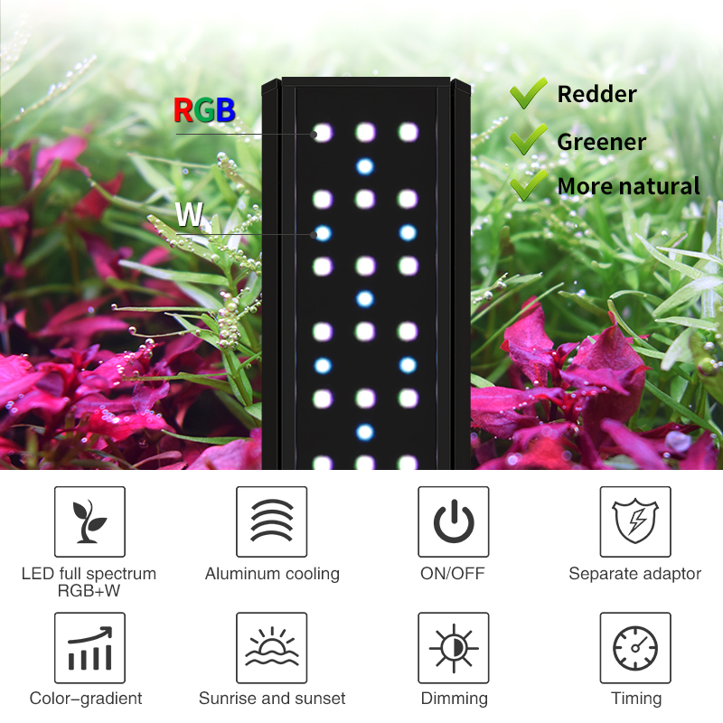 ZXY رائجة البيع WEEKAQUA V400  - مراجعة Aquarium Plants For Sale وسعره