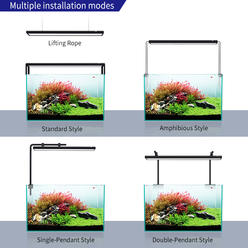 ZXY رائجة البيع WEEKAQUA V400  - مراجعة Aquarium Plants For Sale وسعره