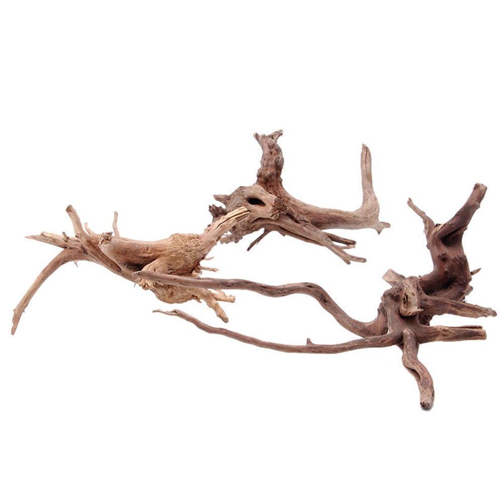 4 قطع من الخشب الطبيعي لتزيين  - مراجعة Aquarium Plants For Sale وسعره